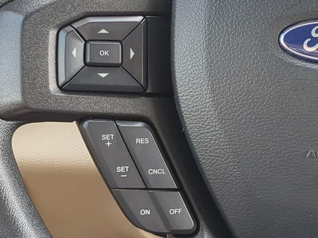 2019 Ford F-150 Vehicle Photo in Brunswick, GA 31525
