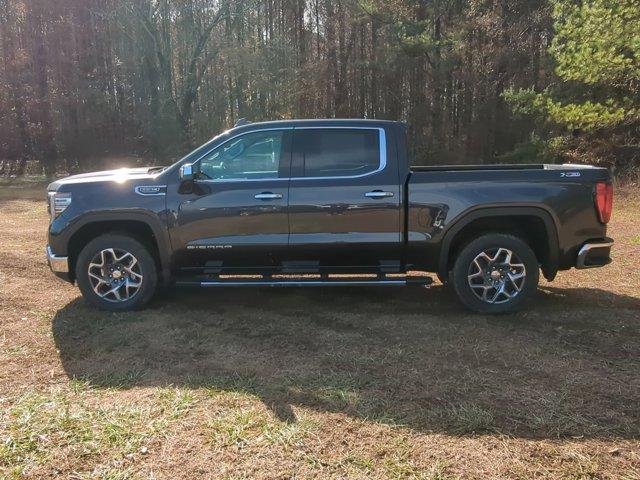 2025 GMC Sierra 1500 Vehicle Photo in ALBERTVILLE, AL 35950-0246