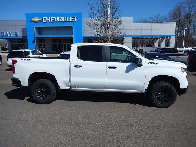 2025 Chevrolet Silverado 1500 Vehicle Photo in JASPER, GA 30143-8655