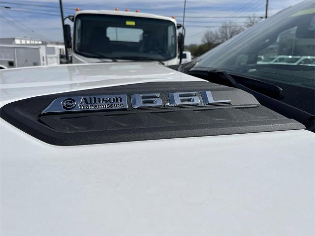 2024 Chevrolet Silverado 2500 HD Vehicle Photo in ALCOA, TN 37701-3235
