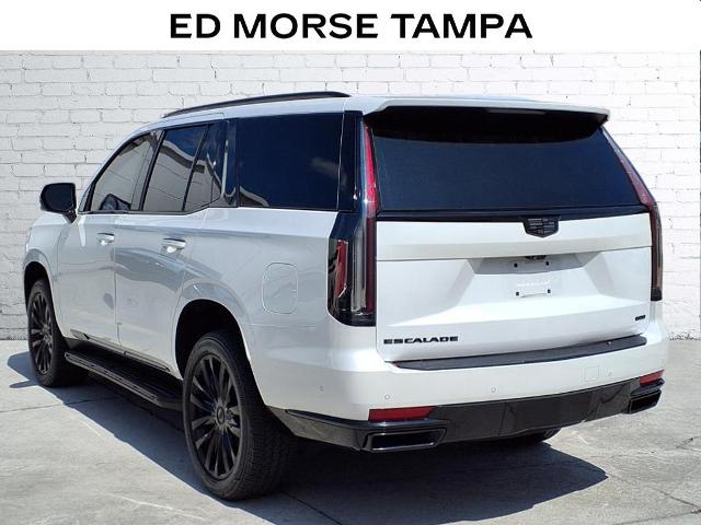 2022 Cadillac Escalade Vehicle Photo in Tampa, FL 33612