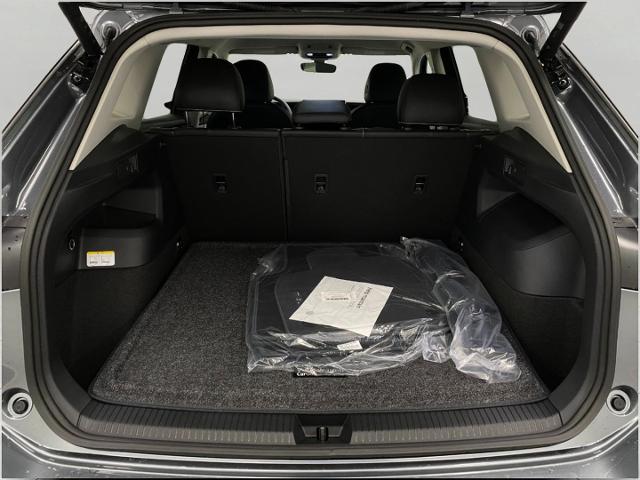 2025 Volkswagen Tiguan Vehicle Photo in Appleton, WI 54913