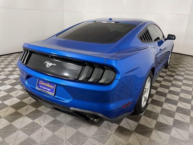 2019 Ford Mustang Vehicle Photo in PHOENIX, AZ 85014-3381