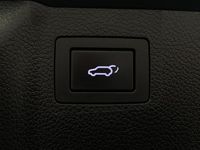 2019 Hyundai SANTA FE XL Vehicle Photo in Appleton, WI 54913