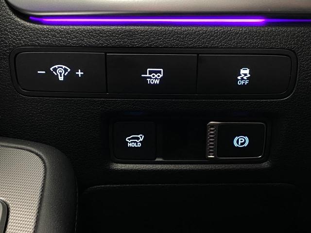 2025 Hyundai PALISADE Vehicle Photo in Appleton, WI 54913