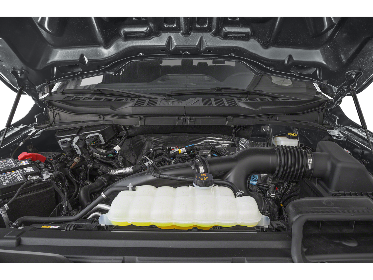 2024 Ford F-150 Vehicle Photo in Green Bay, WI 54304
