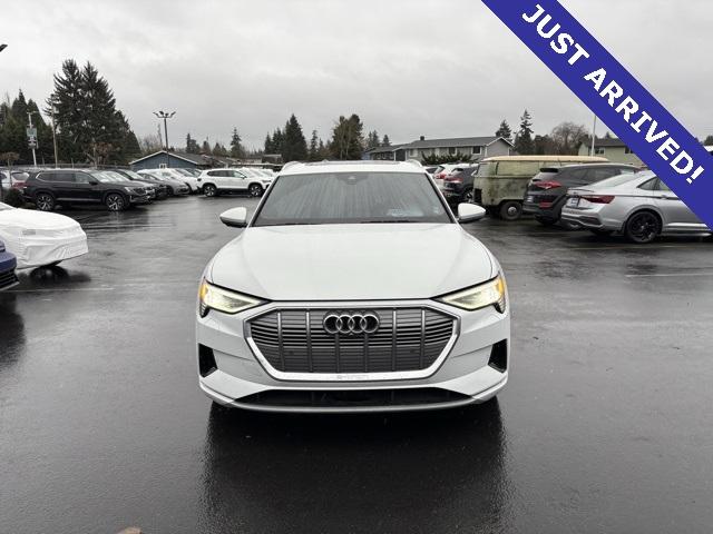 2019 Audi e-tron Vehicle Photo in Puyallup, WA 98371