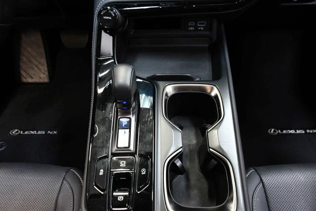 2024 Lexus NX 250 Vehicle Photo in DALLAS, TX 75235