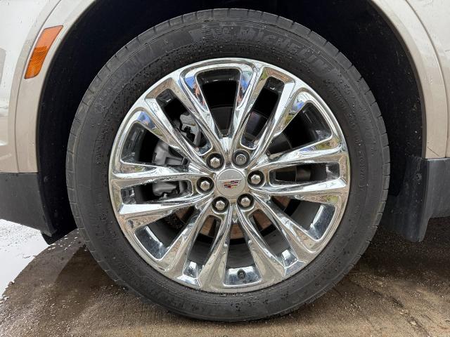 2022 Cadillac XT5 Vehicle Photo in Appleton, WI 54914