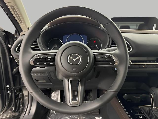 2025 Mazda CX-30 Vehicle Photo in Green Bay, WI 54304