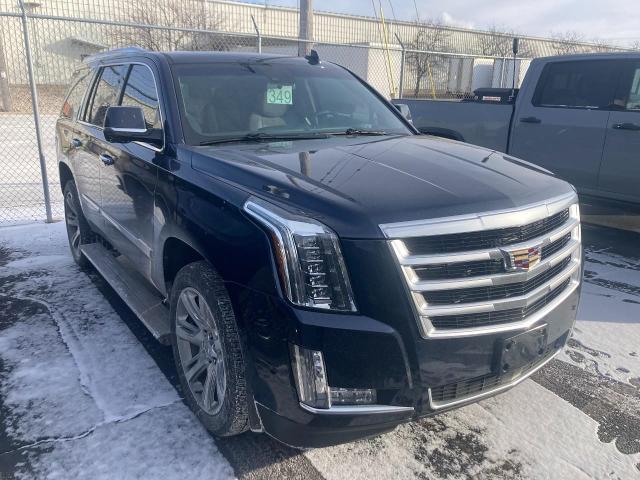 2018 Cadillac Escalade Vehicle Photo in APPLETON, WI 54914-4656