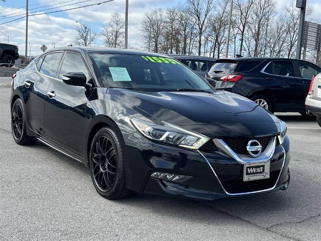 2016 Nissan Maxima Vehicle Photo in ALCOA, TN 37701-3235