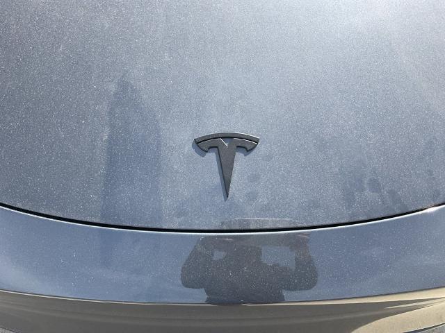 2023 Tesla Model Y Vehicle Photo in San Antonio, TX 78230