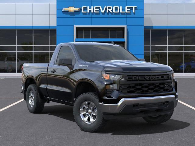 2025 Chevrolet Silverado 1500 Vehicle Photo in TULLY, NY 13159-3159