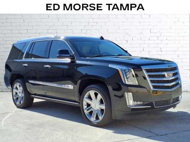 2019 Cadillac Escalade Vehicle Photo in Tampa, FL 33612