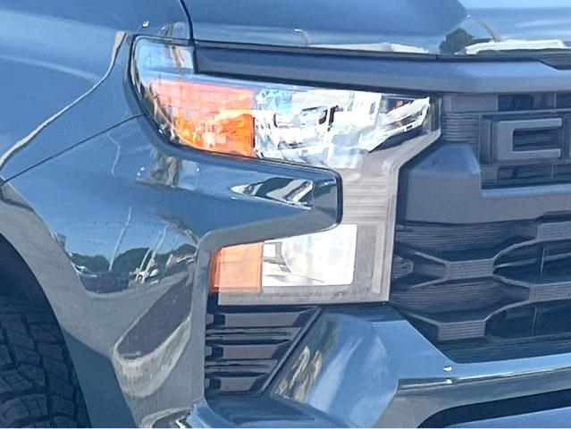 2025 Chevrolet Silverado 1500 Vehicle Photo in SAVANNAH, GA 31406-4513