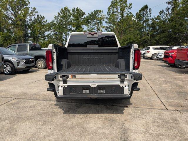 2024 GMC Sierra 1500 Vehicle Photo in BRUNSWICK, GA 31525-1881