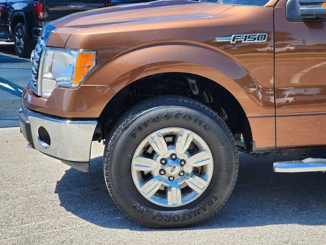 2011 Ford F-150 Vehicle Photo in DENTON, TX 76210-9321