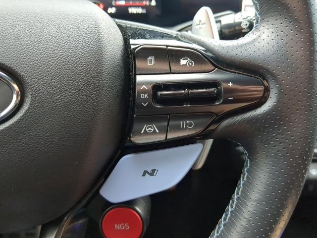 2023 Hyundai ELANTRA N Vehicle Photo in Brunswick, GA 31525
