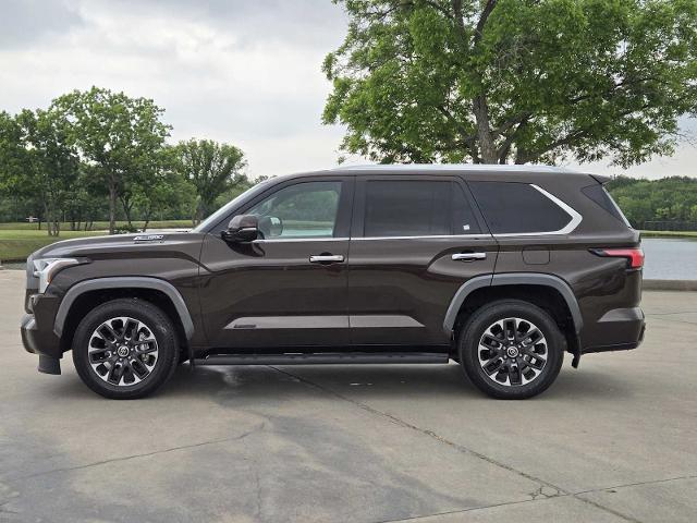 2024 Toyota Sequoia Vehicle Photo in DENTON, TX 76210-9321