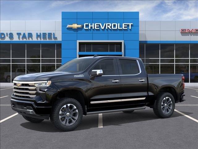2025 Chevrolet Silverado 1500 Vehicle Photo in ROXBORO, NC 27573-6143