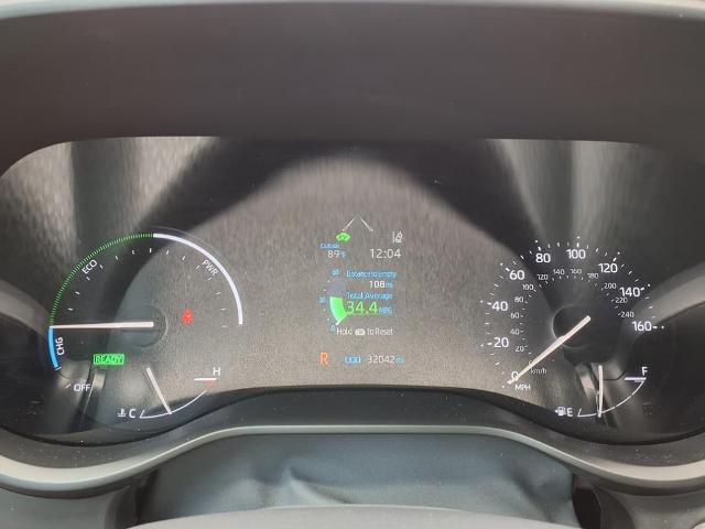 2024 Toyota Sienna Vehicle Photo in Tampa, FL 33612