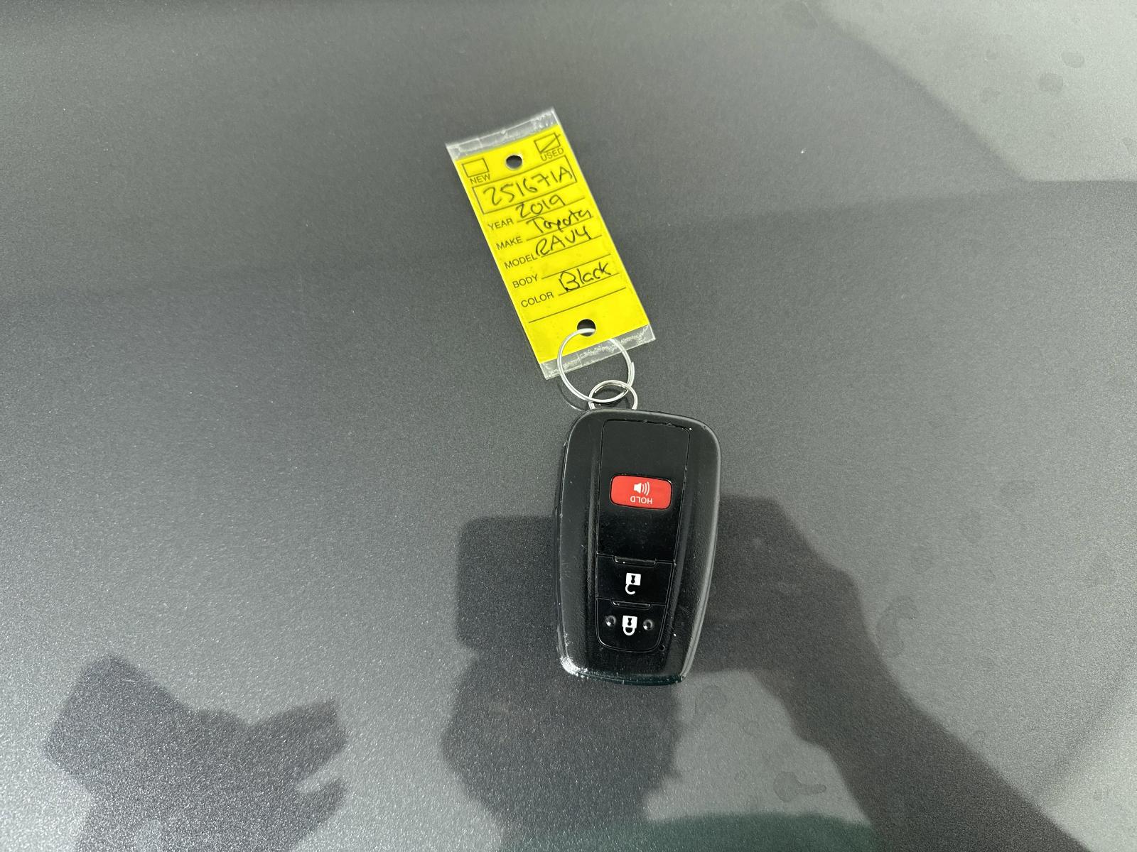 2019 Toyota RAV4 Vehicle Photo in GEORGETOWN, TX 78626-7508