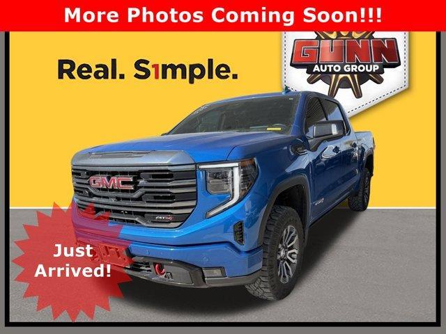 2023 GMC Sierra 1500 Vehicle Photo in SELMA, TX 78154-1459