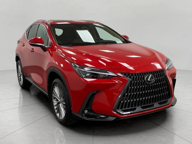 2025 Lexus NX 350h Vehicle Photo in Appleton, WI 54913