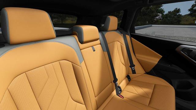 2025 BMW X3 30 xDrive Vehicle Photo in GRAPEVINE, TX 76051