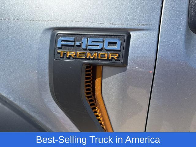 2022 Ford F-150 Vehicle Photo in Weatherford, TX 76087
