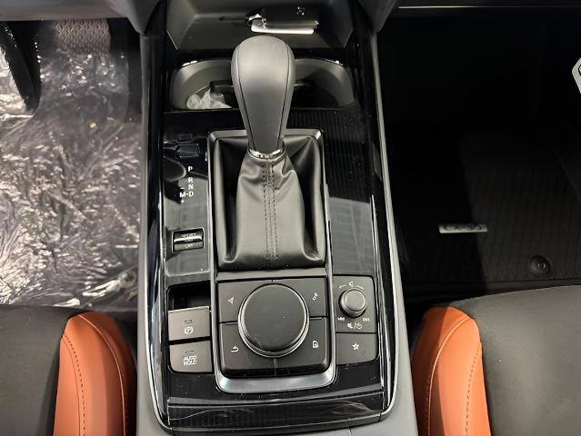 2025 Mazda CX-30 Vehicle Photo in Green Bay, WI 54304