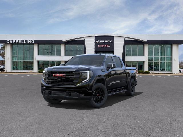 2025 GMC Sierra 1500 Vehicle Photo in WILLIAMSVILLE, NY 14221-2883