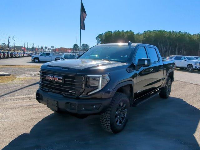 2025 GMC Sierra 1500 Vehicle Photo in ALBERTVILLE, AL 35950-0246