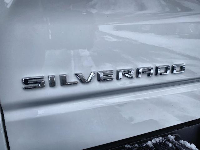 2022 Chevrolet Silverado 1500 Vehicle Photo in WILLIAMSVILLE, NY 14221-2883