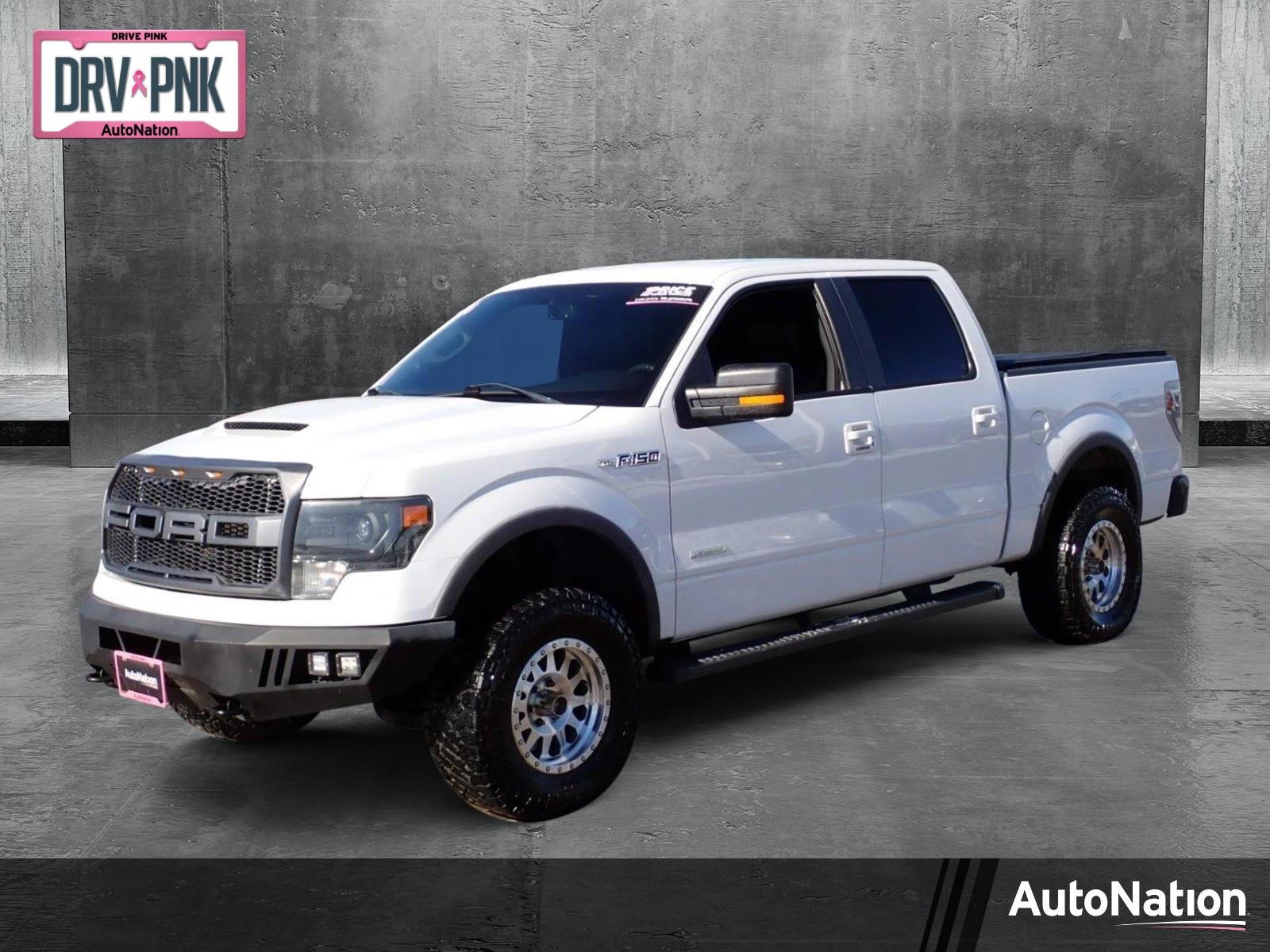 2014 Ford F-150 Vehicle Photo in DENVER, CO 80221-3610