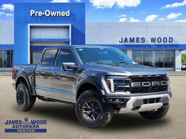 2025 Ford F-150 Vehicle Photo in DENTON, TX 76210-9321