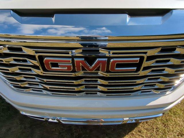 2025 GMC Sierra 1500 Vehicle Photo in ALBERTVILLE, AL 35950-0246