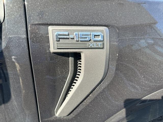 2023 Ford F-150 Vehicle Photo in Webster, MA 01570-1415