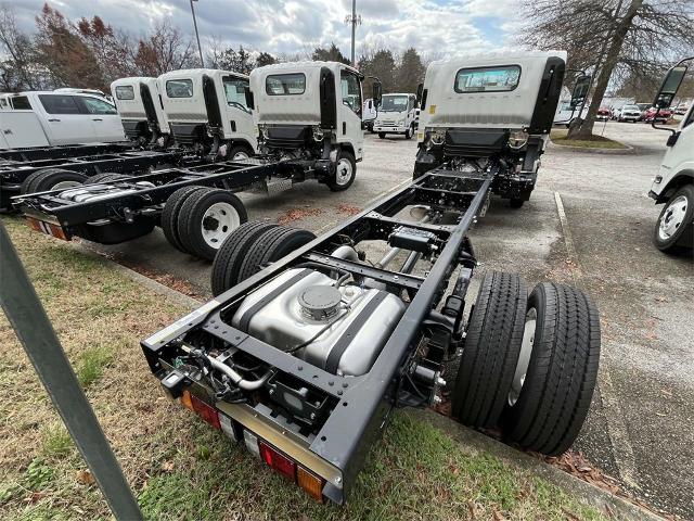 2025 Chevrolet Low Cab Forward 4500 Vehicle Photo in ALCOA, TN 37701-3235