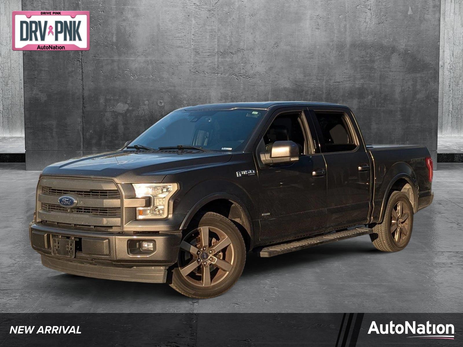 2017 Ford F-150 Vehicle Photo in St. Petersburg, FL 33713