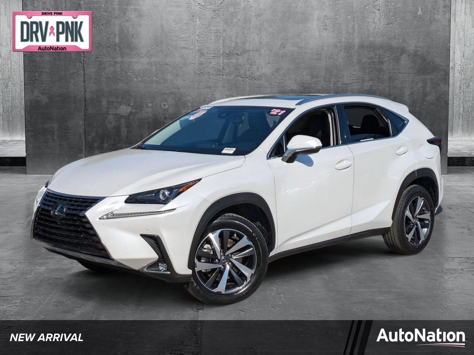 2021 Lexus NX 300 Vehicle Photo in Tampa, FL 33614