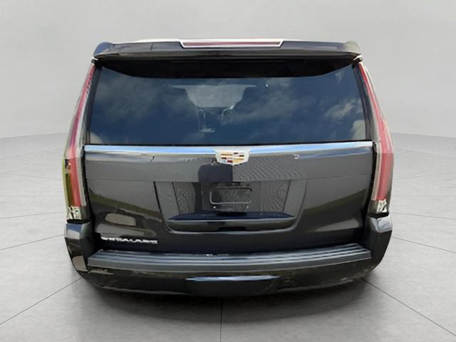 2019 Cadillac Escalade Vehicle Photo in Neenah, WI 54956
