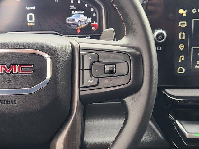 2024 GMC Sierra 1500 Vehicle Photo in Decatur, TX 76234