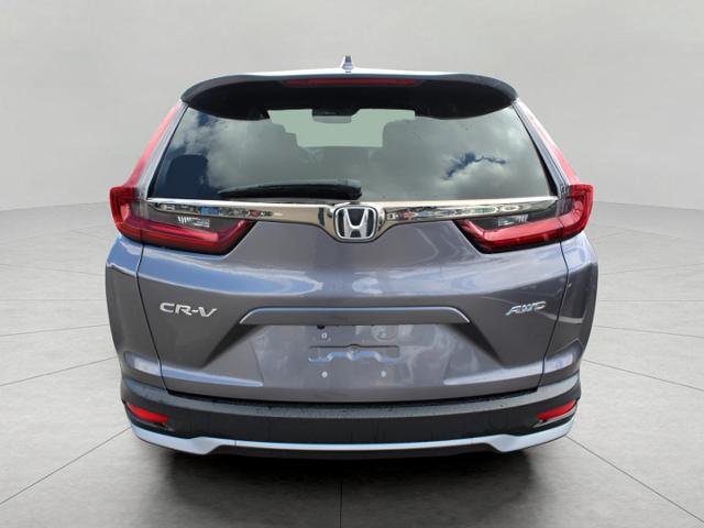 2022 Honda CR-V Vehicle Photo in Green Bay, WI 54304