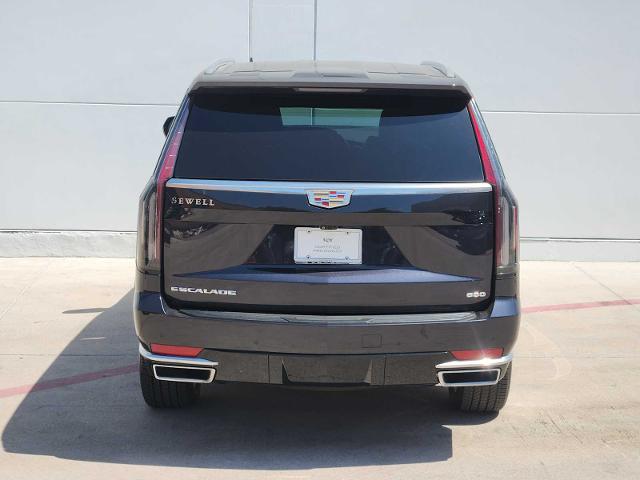 2022 Cadillac Escalade Vehicle Photo in Grapevine, TX 76051
