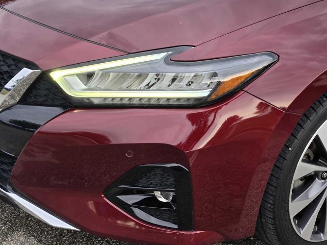 2020 Nissan Maxima Vehicle Photo in DENTON, TX 76210-9321