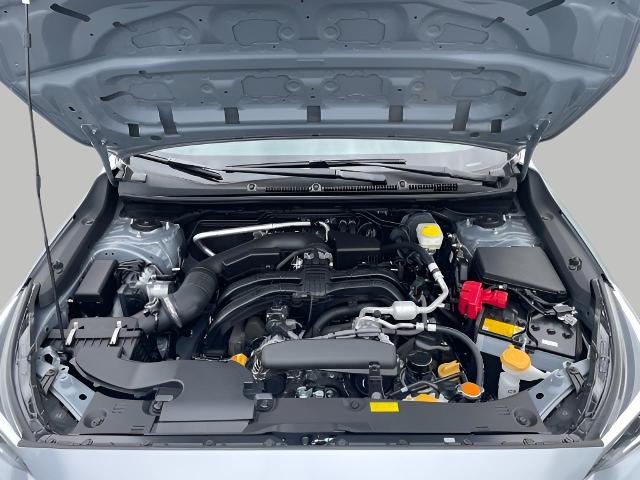 2025 Subaru Crosstrek Vehicle Photo in Oshkosh, WI 54904