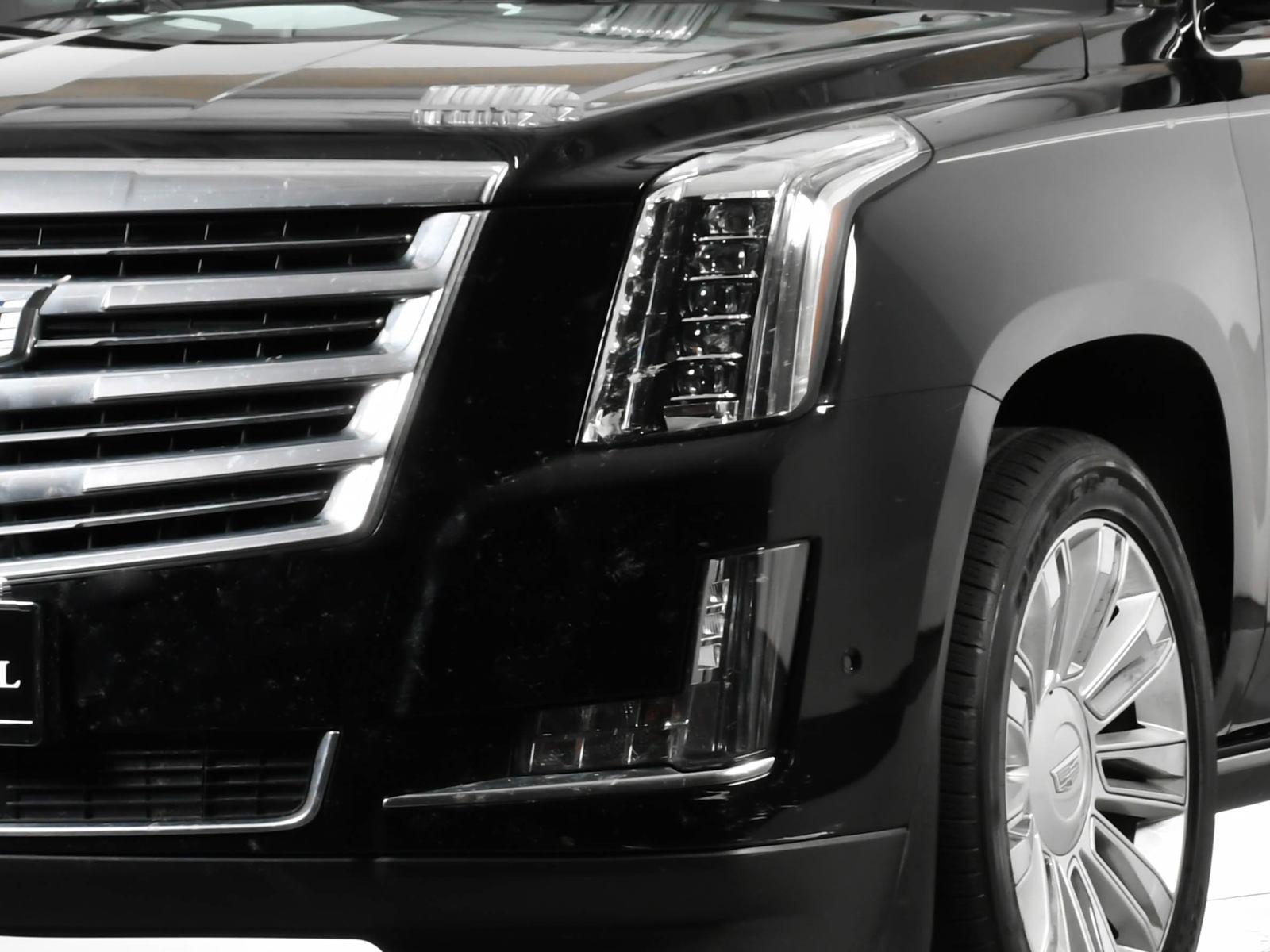 2019 Cadillac Escalade Vehicle Photo in DALLAS, TX 75235