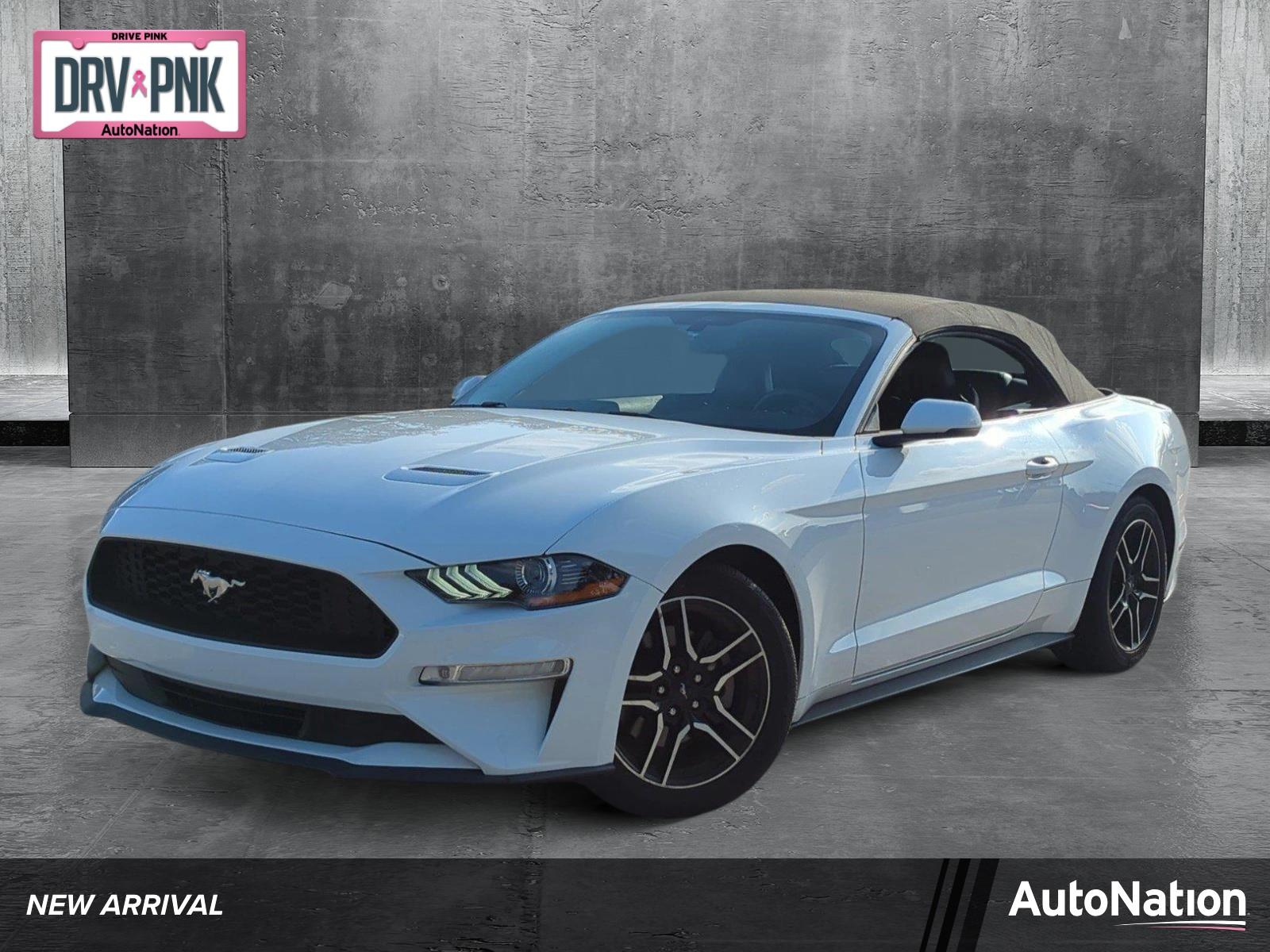 2019 Ford Mustang Vehicle Photo in Margate, FL 33063